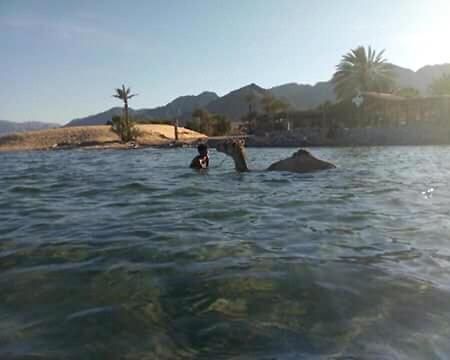 Hostel Sebaii Camp السباعى كامب شاطئ الترابين بجوار ويت بالس Nuweiba` Zewnętrze zdjęcie