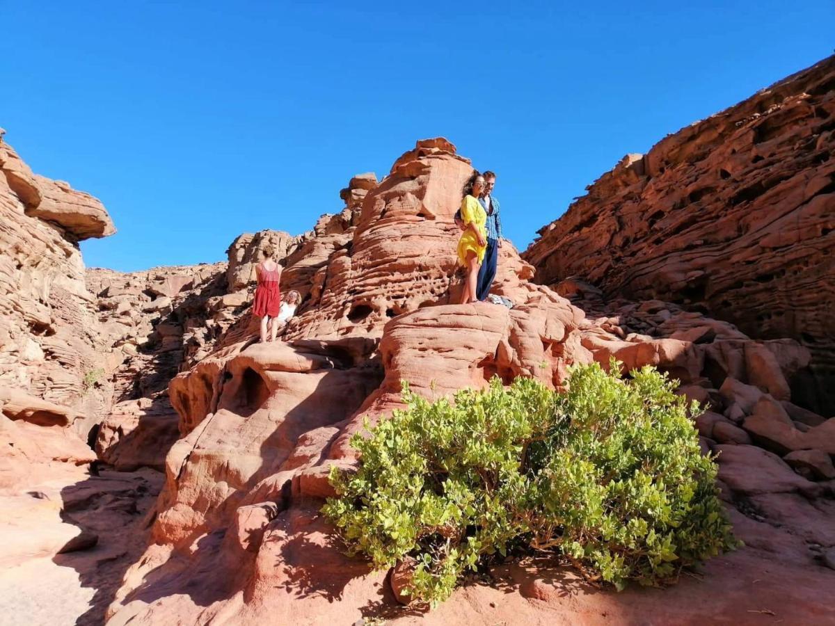 Hostel Sebaii Camp السباعى كامب شاطئ الترابين بجوار ويت بالس Nuweiba` Zewnętrze zdjęcie